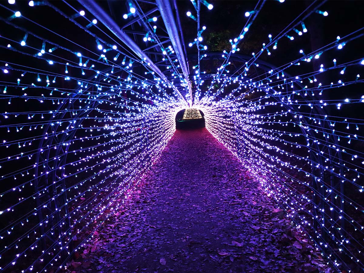 A long tunnel of sparkling blue and purple lights